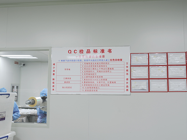 Text of inspection standards